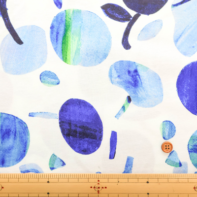 �J���[�o���G�[�V����