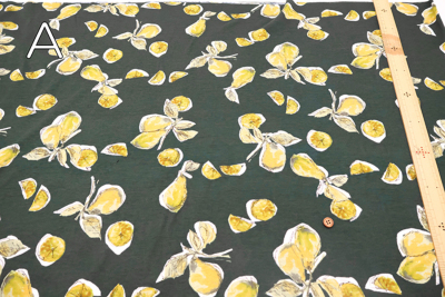 �J���[�o���G�[�V����