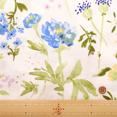 �J���[�o���G�[�V����