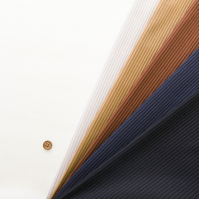 �J���[�o���G�[�V����