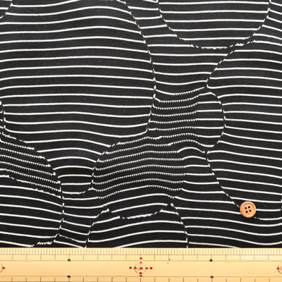 �J���[�o���G�[�V����