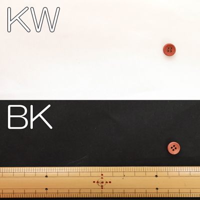 �J���[�o���G�[�V����