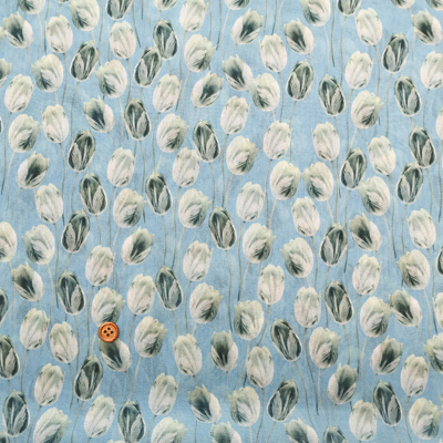 �J���[�o���G�[�V����