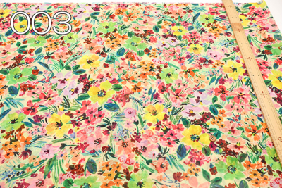 �J���[�o���G�[�V����