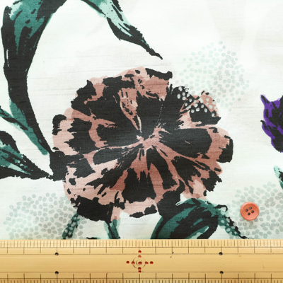 �J���[�o���G�[�V����