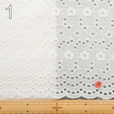 �J���[�o���G�[�V����