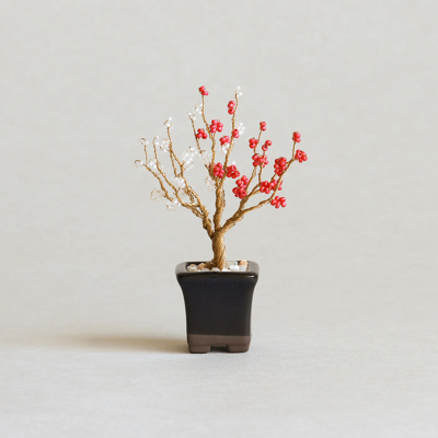 �J���[�o���G�[�V����