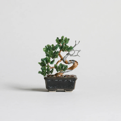 �J���[�o���G�[�V����