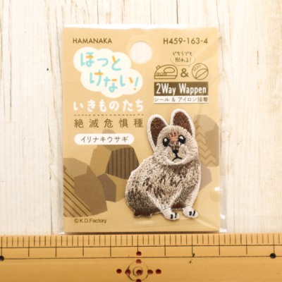 �J���[�o���G�[�V����