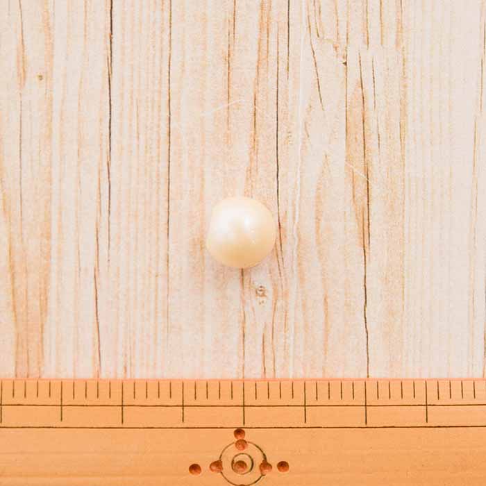 最終価格【magliano】パールボタン パールボタン 12mm| パールボタンの卸通販 《タカシマ》