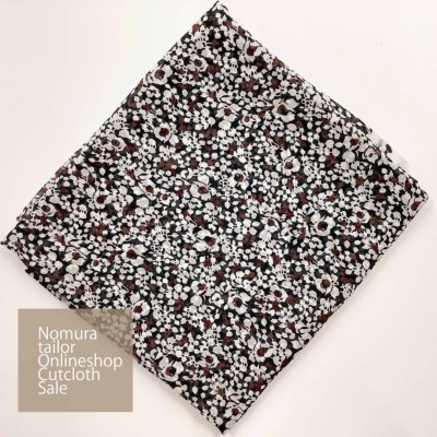 �J���[�o���G�[�V����