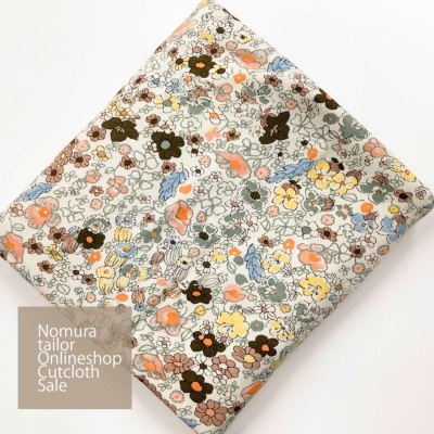 �J���[�o���G�[�V����