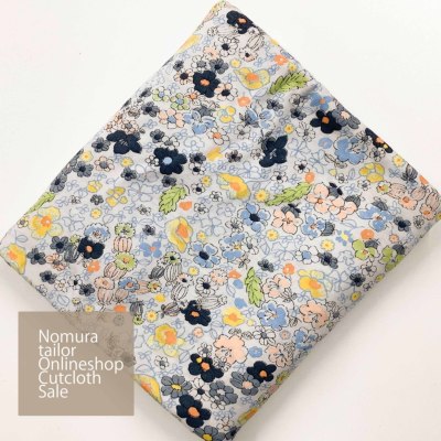 �J���[�o���G�[�V����