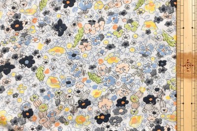 �J���[�o���G�[�V����