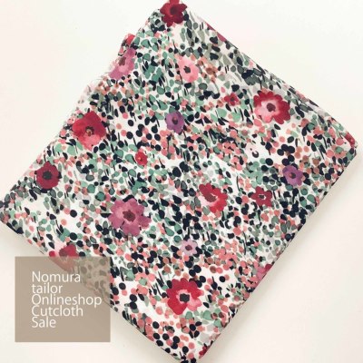 �J���[�o���G�[�V����