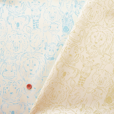 �J���[�o���G�[�V����