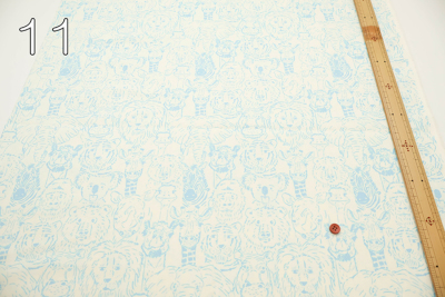 �J���[�o���G�[�V����