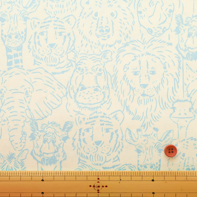 �J���[�o���G�[�V����