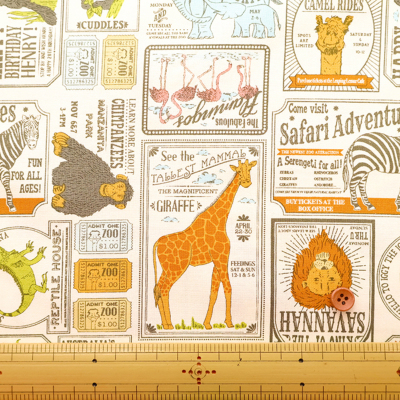 �J���[�o���G�[�V����