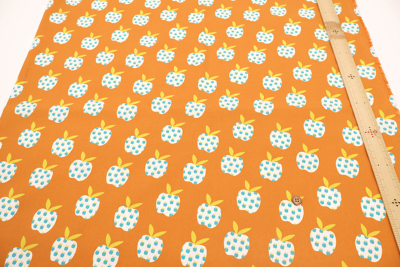 �J���[�o���G�[�V����