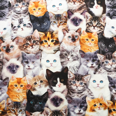 �J���[�o���G�[�V����