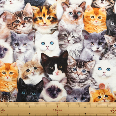 �J���[�o���G�[�V����