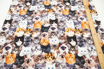 �J���[�o���G�[�V����