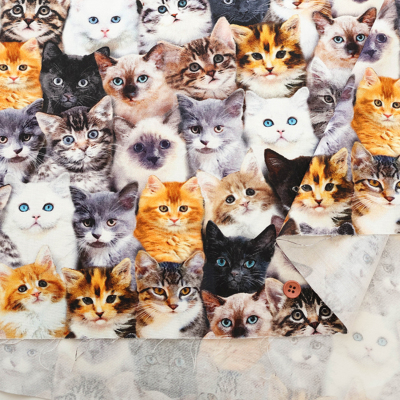 �J���[�o���G�[�V����