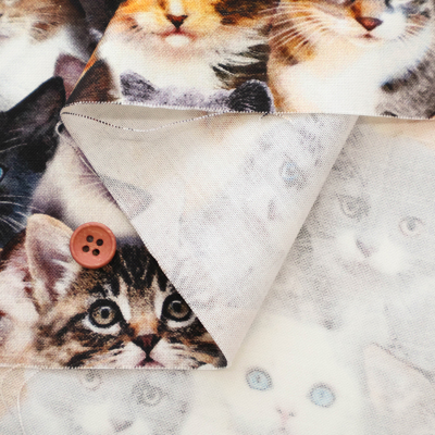 �J���[�o���G�[�V����