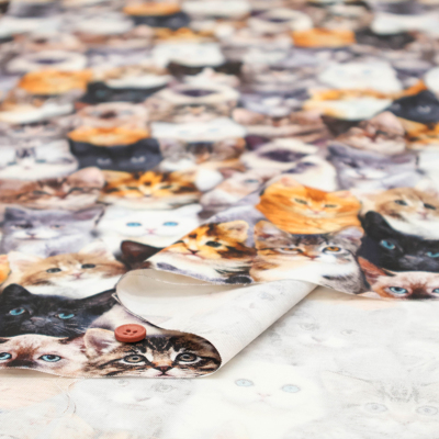 �J���[�o���G�[�V����