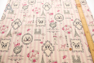 �J���[�o���G�[�V����