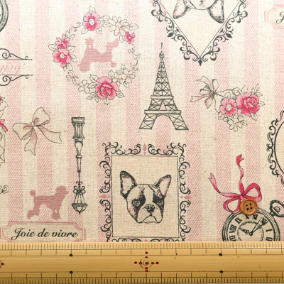 �J���[�o���G�[�V����