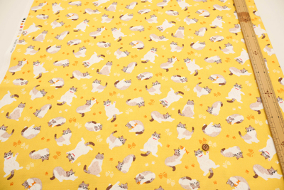 �J���[�o���G�[�V����