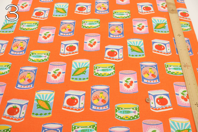 �J���[�o���G�[�V����