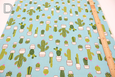 �J���[�o���G�[�V����