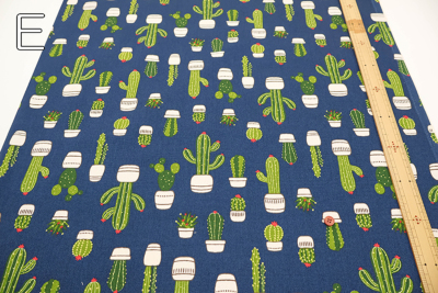 �J���[�o���G�[�V����