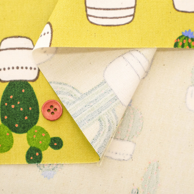 �J���[�o���G�[�V����