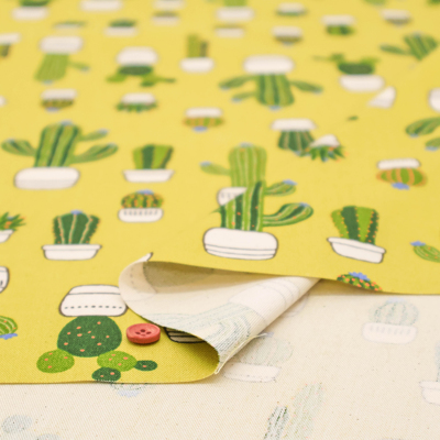 �J���[�o���G�[�V����