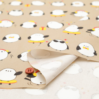 �J���[�o���G�[�V����