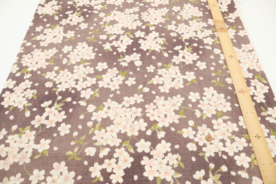 �J���[�o���G�[�V����