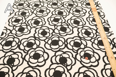 �J���[�o���G�[�V����