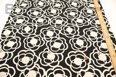 �J���[�o���G�[�V����