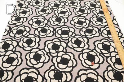 �J���[�o���G�[�V����