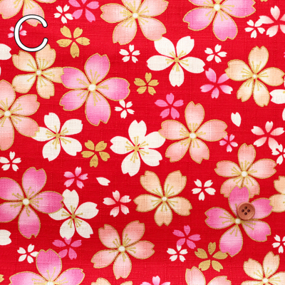 �J���[�o���G�[�V����