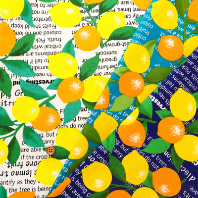 �J���[�o���G�[�V����