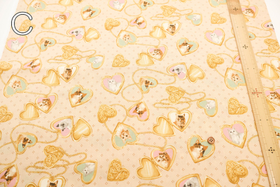 �J���[�o���G�[�V����