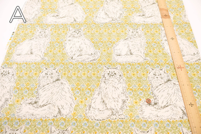 �J���[�o���G�[�V����