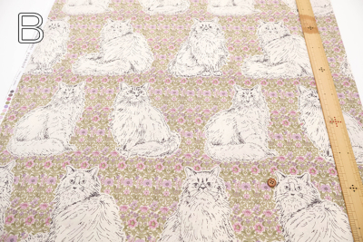 �J���[�o���G�[�V����