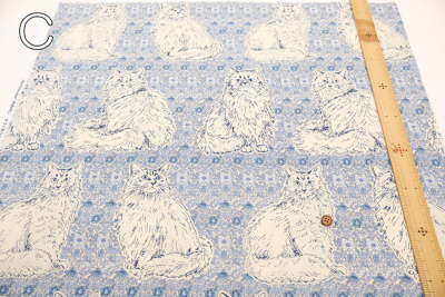 �J���[�o���G�[�V����