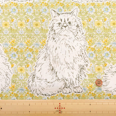 �J���[�o���G�[�V����